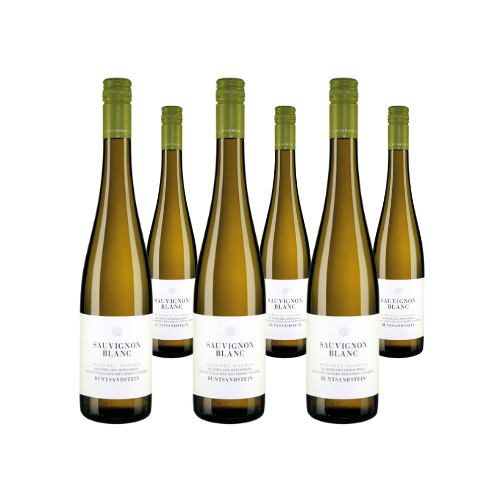 Weingut Michael Andres - Sauvignon Blanc 2023 (6 Flaschen)