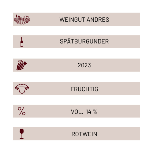 Weingut Andres - Spätburgunder 2023 (6 Flaschen)